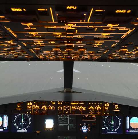 Module 4 - Virtual Flight